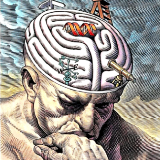 Therapie voor het dagelijkse leven